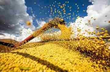  Brasil estima colheita de 354,8 milhões de toneladas de grãos 